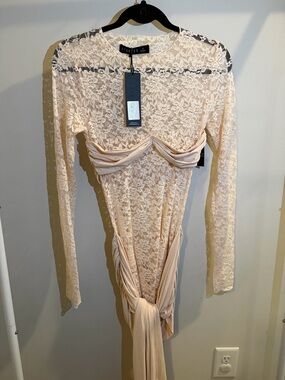 Lioness Blush Lace Long-Sleeve Maxi Dress with Draped Bust